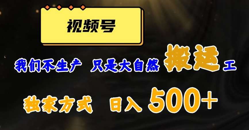 视频号轻松搬运日赚500+，一个1分钟1条原创视频【揭秘】-靠谱项目库