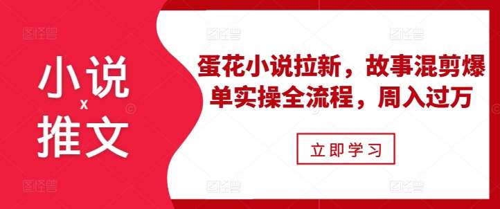 小说推文之蛋花小说拉新，故事混剪爆单实操全流程，周入过万-靠谱项目库