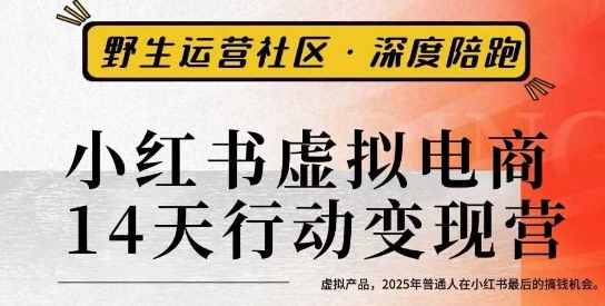 小红书虚拟电商14天变现训练营3.0，​虚拟产品，2025年普通人在小红书最后的搞钱机会-靠谱项目库