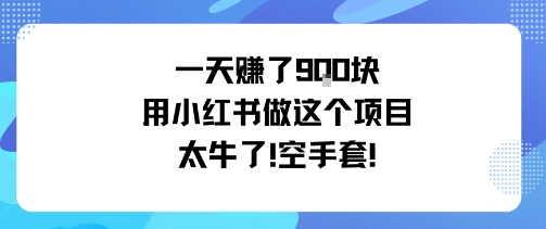 一天挣了9张用小红书做这个项目太牛了，空手套-靠谱项目库