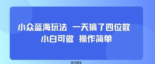 小众蓝海玩法 一天搞了四位数 小白可做 操作简单-靠谱项目库