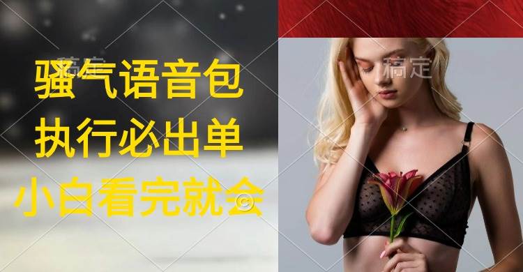 执行就出单，日入2000+，超火骚气语音包，小白看完课程就能马上实操-靠谱项目库