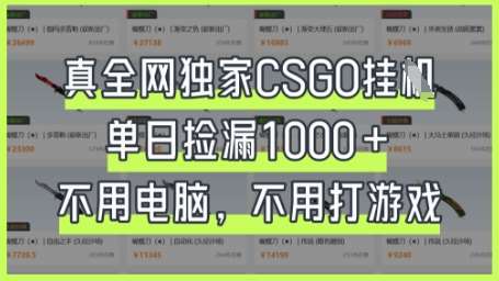 真全网独家CSGO挂G，单日捡漏1k+【揭秘】-靠谱项目库