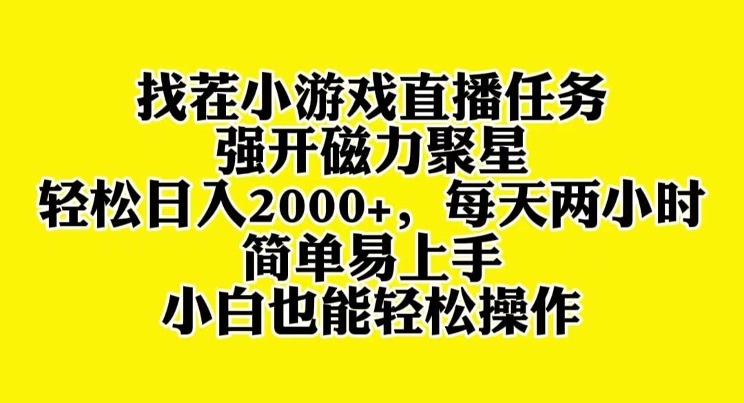找茬小游戏直播，强开磁力聚星，轻松日入2000+，小白也能轻松上手-靠谱项目库