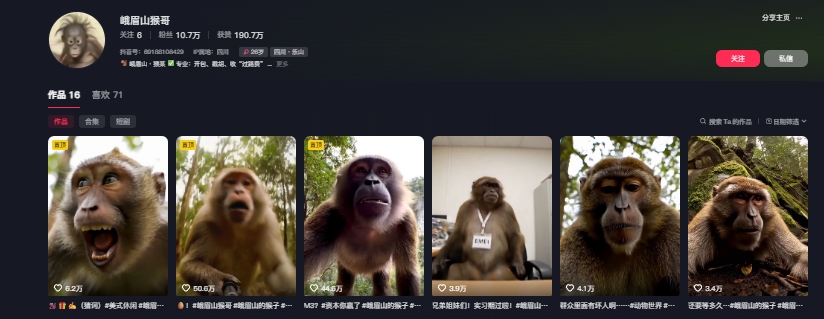 图片[2]-最新爆火的峨眉山猴子短视频制作教程，条条点赞10w+，谁做谁火【教程+提示词】-靠谱项目库
