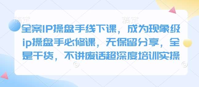 全案IP操盘手线下课，成为现象级ip操盘手必修课，无保留分享，全是干货，不讲废话超深度培训实操-靠谱项目库