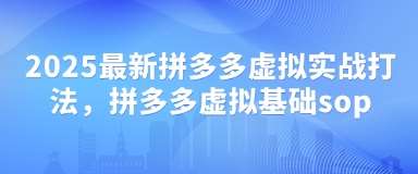 2025最新拼多多虚拟实战打法，拼多多虚拟基础sop-靠谱项目库