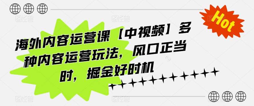 海外内容运营课【中视频】多种内容运营玩法，风口正当时，掘金好时机-靠谱项目库