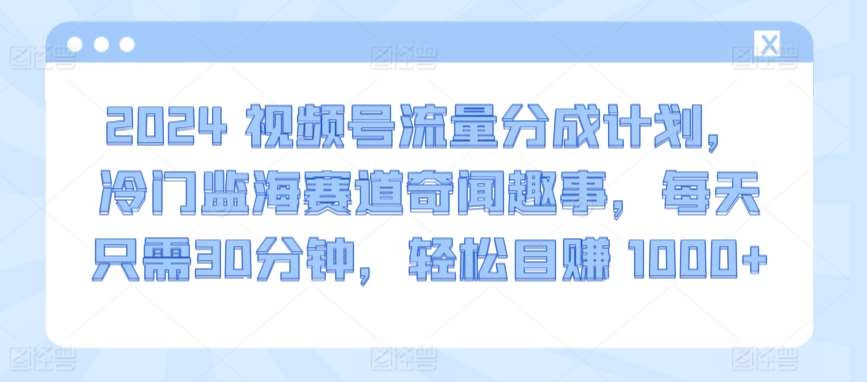 2024视频号流量分成计划，冷门监海赛道奇闻趣事，每天只需30分钟，轻松目赚 1000+【揭秘】-靠谱项目库