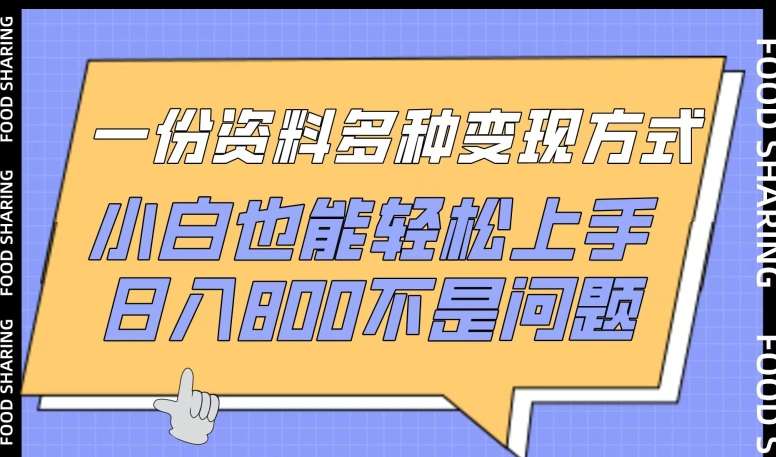 一份资料多种变现方式，小白也能轻松上手，日入800不是问题【揭秘】-靠谱项目库