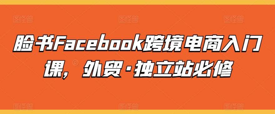 脸书Facebook跨境电商入门课，外贸·独立站必修-靠谱项目库