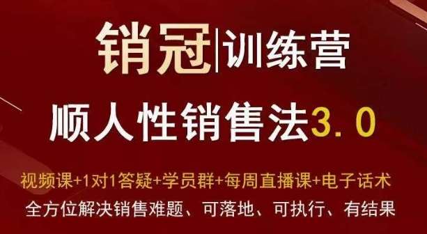 爆款！销冠训练营3.0之顺人性销售法，全方位解决销售难题、可落地、可执行、有结果-靠谱项目库