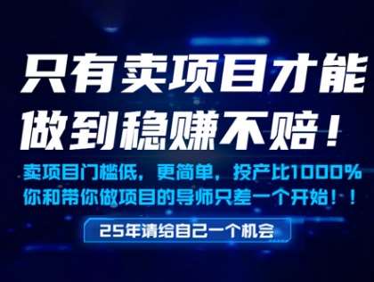 只有卖项目才能做到稳挣不赔，门槛低，更简单，你也可以年入百个W【揭秘】-靠谱项目库