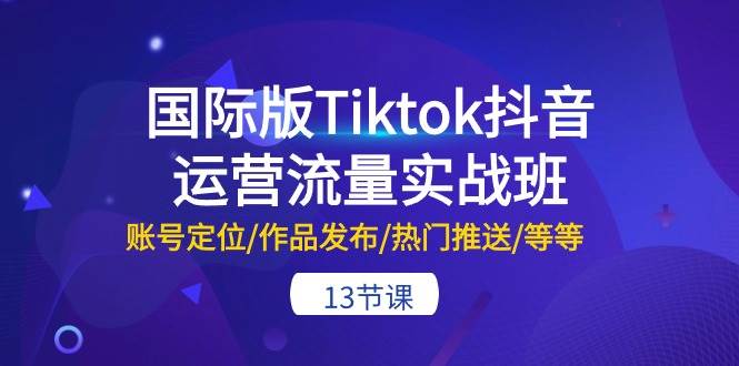 （10712期）国际版Tiktok抖音运营流量实战班：账号定位/作品发布/热门推送/等等-13节-靠谱项目库