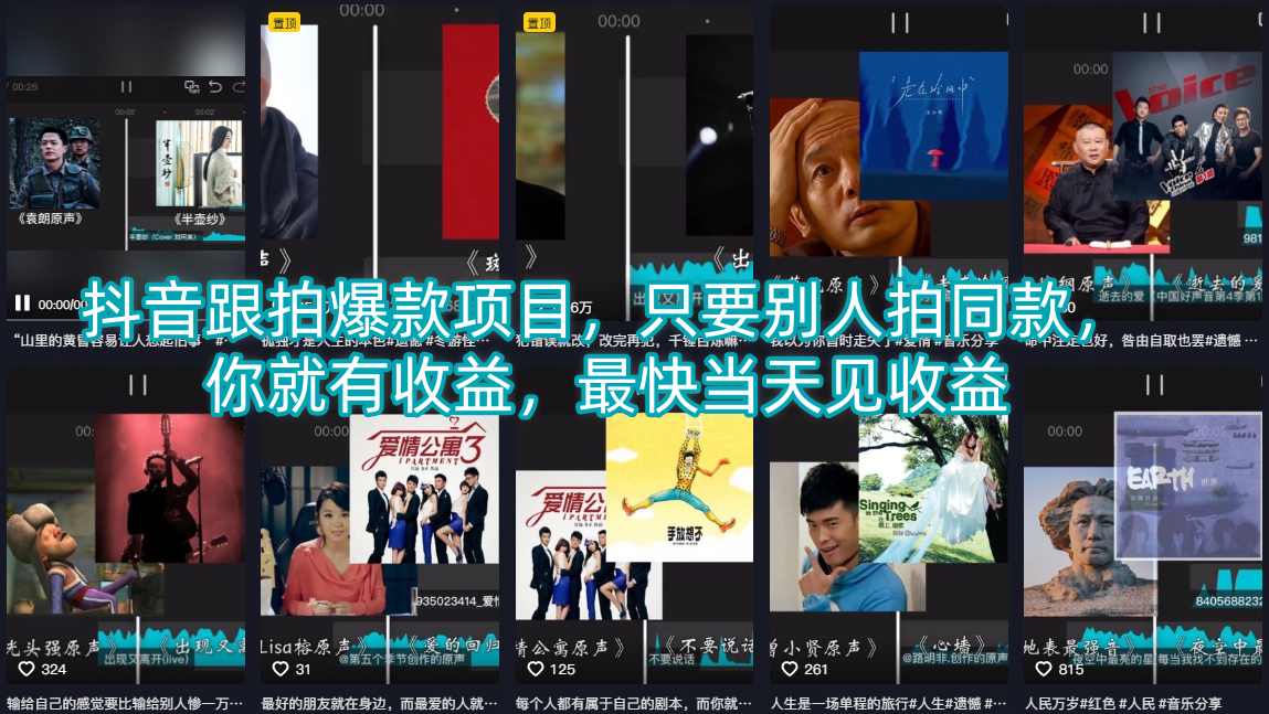抖音跟拍爆款项目，只要别人拍同款，你就有收益，最快当天见收益-靠谱项目库