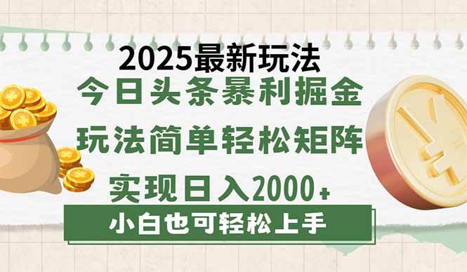 （14120期）今日头条2025最新玩法，思路简单，复制粘贴，轻松实现矩阵日入2000+-靠谱项目库