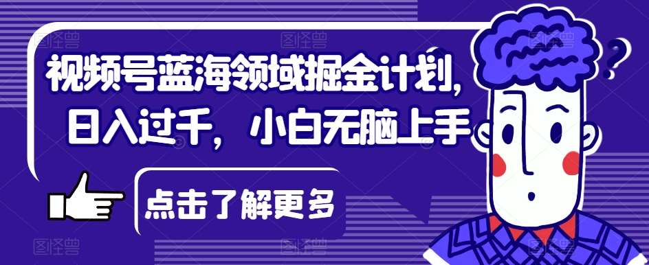 视频号蓝海领域掘金计划，日入过千，小白无脑上手【揭秘】-靠谱项目库