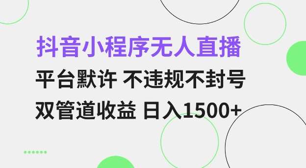 抖音小程序无人直播 平台默许 不违规不封号 双管道收益 日入多张 小白也能轻松操作【仅揭秘】-靠谱项目库