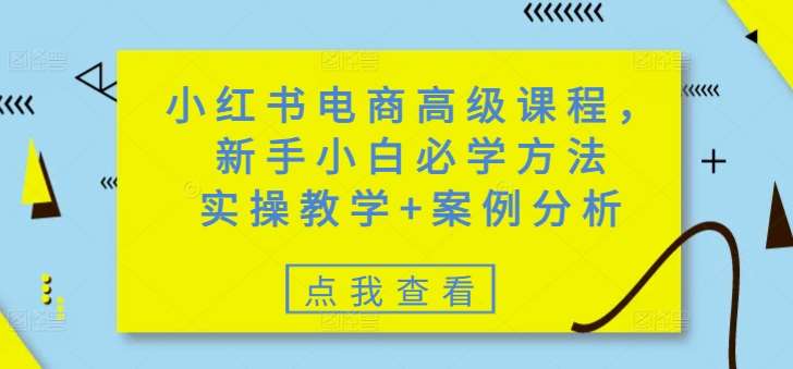小红书电商高级课程，新手小白必学方法，实操教学+案例分析-靠谱项目库