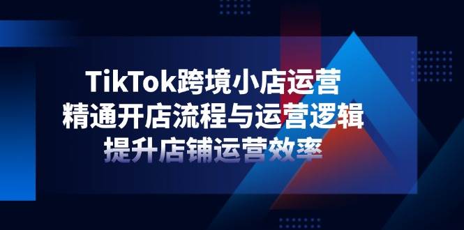 （14369期）TikTok跨境小店运营，精通开店流程与运营逻辑，提升店铺运营效率-靠谱项目库