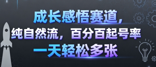 成长感悟赛道，纯自然流，百分百起号率 一天轻松多张-靠谱项目库