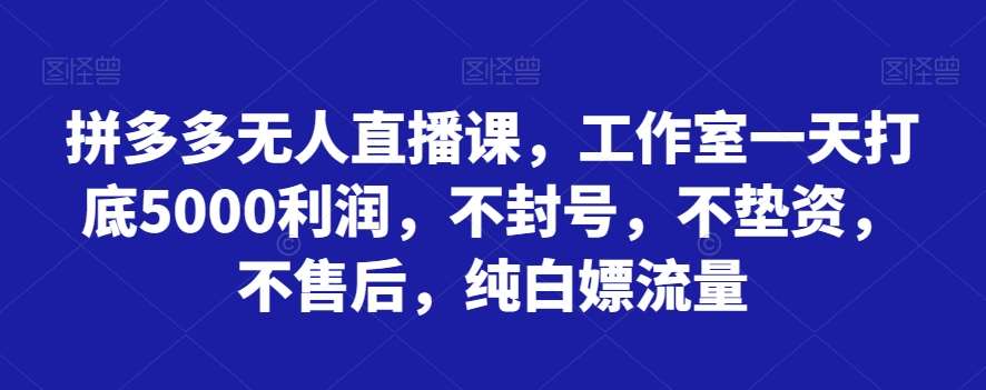 拼多多无人直播课，工作室一天打底5000利润，不封号，不垫资，不售后，纯白嫖流量-靠谱项目库