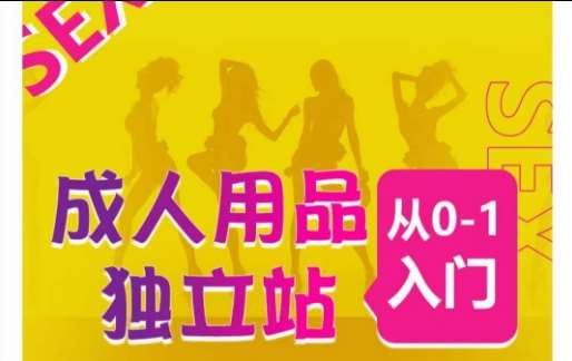 成人用品独立站从0-1入门，成品独立站运营全流程教学，七大好卖成品独立站推荐-靠谱项目库