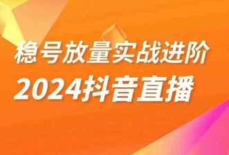 稳号放量实战进阶—2024抖音直播，直播间精细化运营的几大步骤-靠谱项目库