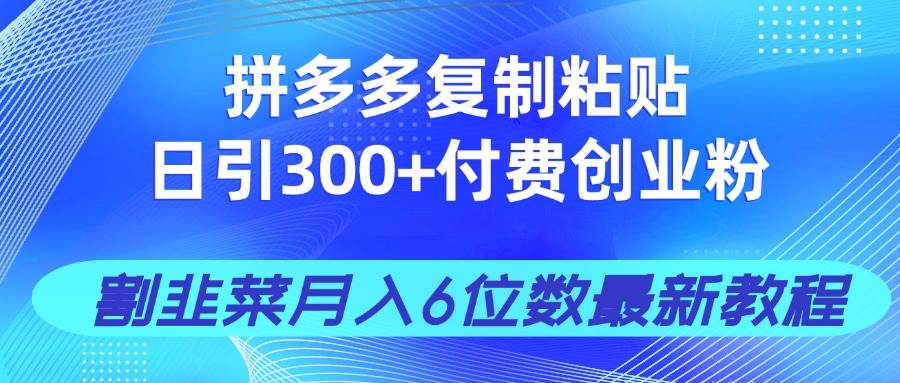 （14232期）拼多多复制粘贴日引300+付费创业粉，割韭菜月入6位数最新教程！-靠谱项目库