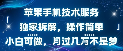 苹果手机技术服务，独家拆解，操作简单，小白可做，月过1W不是梦-靠谱项目库