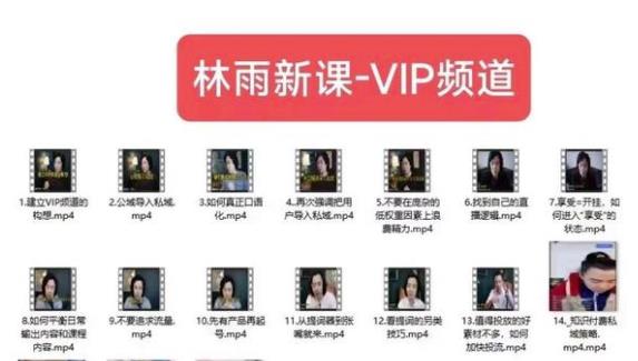 林雨新课VIP频道，玩赚私域/朋友圈/社群-靠谱项目库