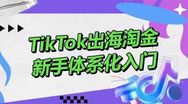 TikTok出海淘金，新手体系化入门，零基础快速入门，掌握短视频、直播带货等引流到变现的知识-靠谱项目库