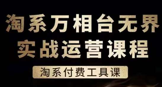 淘系万相台无界实战运营课，淘系付费工具课-靠谱项目库