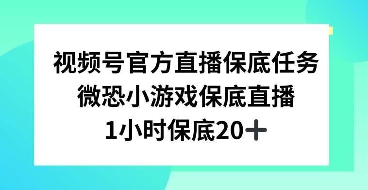 视频号直播任务，微恐小游戏，1小时20+【揭秘】-靠谱项目库
