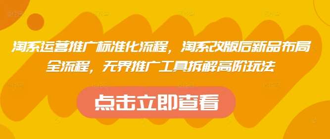 淘系运营推广标准化流程，​淘系改版后新品布局全流程，无界推广工具拆解高阶玩法-靠谱项目库