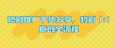 短剧推广干货分享，豹剧 1:1原创全流程-靠谱项目库