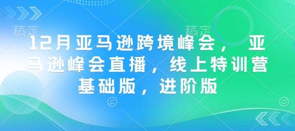 12月亚马逊跨境峰会， 亚马逊峰会直播，线上特训营基础版，进阶版-靠谱项目库