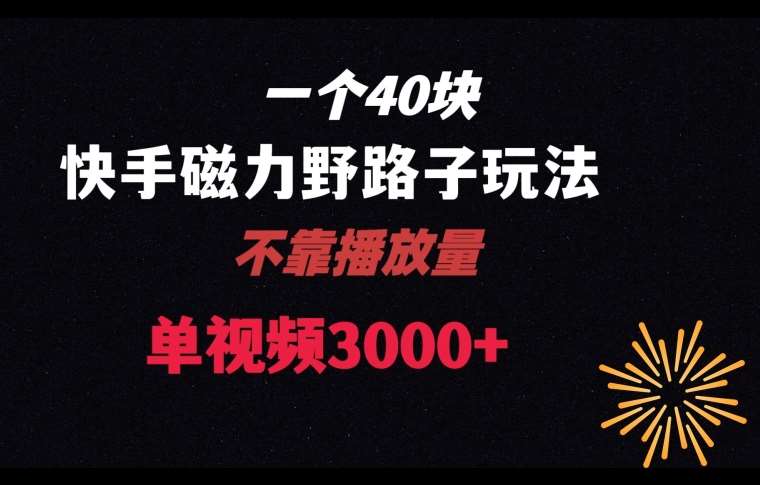 一个40块，快手联合美团磁力新玩法，无视机制野路子玩法，单视频收益4位数【揭秘】-靠谱项目库
