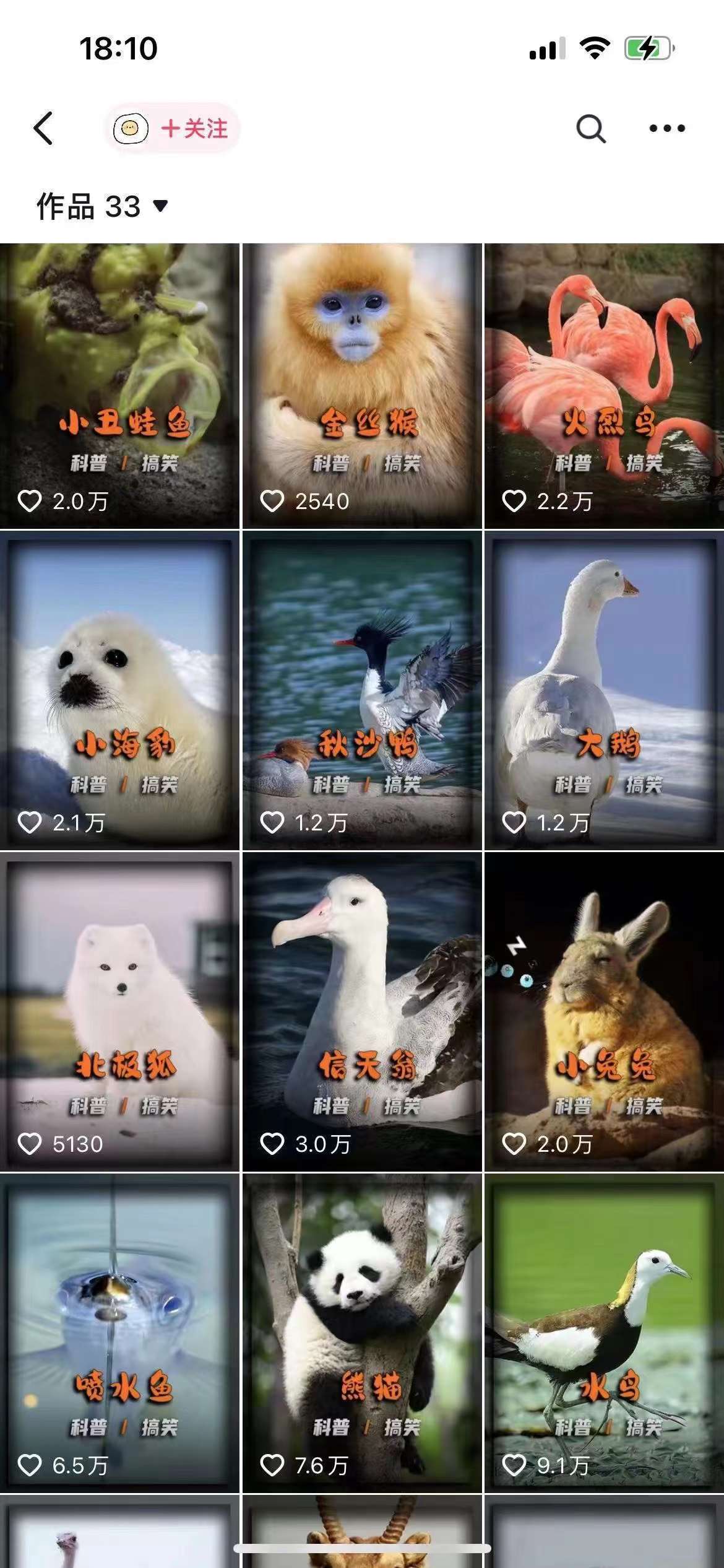 图片[2]-动物科普解说项目，撸创作者伙伴计划收益，保姆级实战教程-靠谱项目库