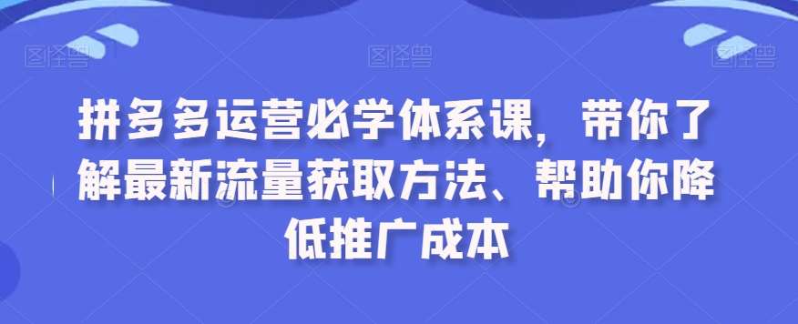 拼多多运营必学体系课，带你了解最新流量获取方法、帮助你降低推广成本-靠谱项目库