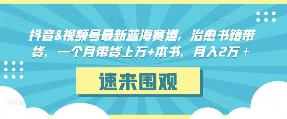 抖音&视频号最新蓝海赛道，治愈书籍带货，一个月带货上万+本书，月入2万＋【揭秘】-靠谱项目库