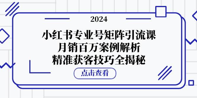 小红书专业号矩阵引流课，月销百万案例解析，精准获客技巧全揭秘-靠谱项目库