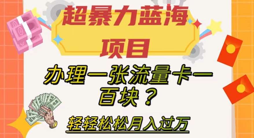 超暴力蓝海项目，办理一张流量卡一百块？轻轻松松月入过万，保姆级教程【揭秘】-靠谱项目库