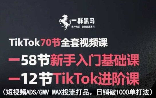 TikTok全套视频课，新手入门+进阶课，短视频ADS-GMV MAX投流打品，日销破1000单打法-靠谱项目库