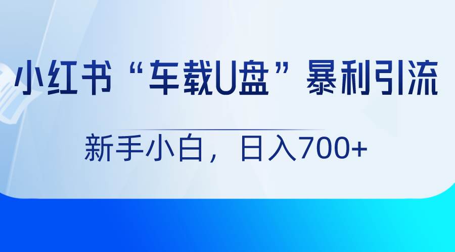 小红书“车载U盘”项目，暴利引流，新手小白轻松日入700+-靠谱项目库