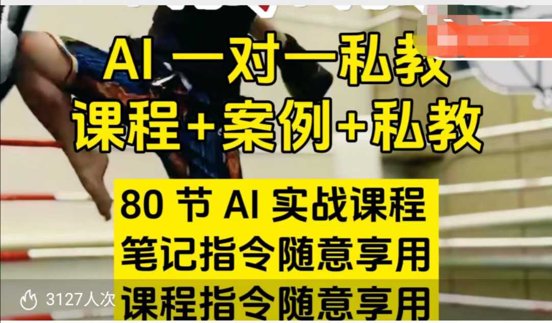 AI指令实战课，课程+案例，80节AI实战课程，笔记指令随意享用，课程指令随意享用（更新7月）-靠谱项目库