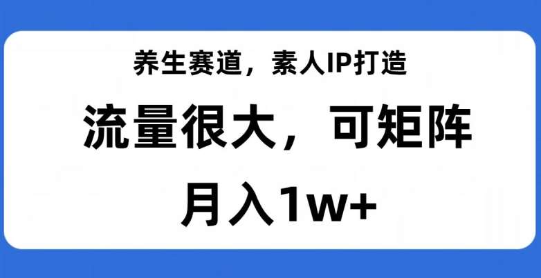 养生赛道，素人IP打造，流量很大，可矩阵，月入1w+【揭秘】-靠谱项目库
