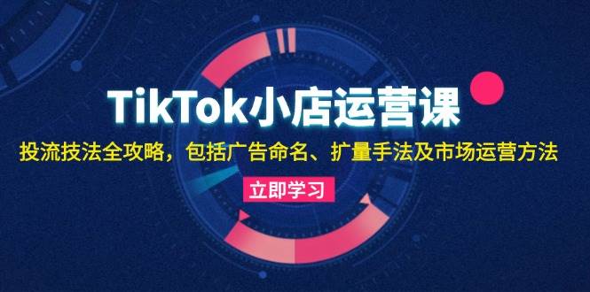 （13063期）TikTok小店运营课：投流技法全攻略，包括广告命名 扩量手法及市场运营方法-靠谱项目库