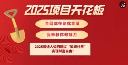 2025项目天花板普通人如何通过知识付费，实现财F自由【揭秘】-靠谱项目库