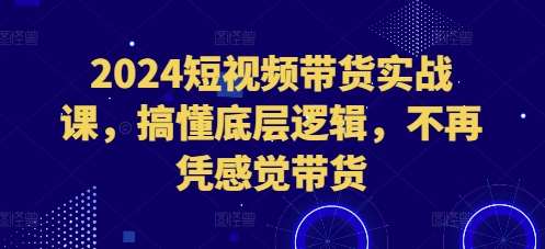 2024短视频带货实战课，搞懂底层逻辑，不再凭感觉带货-靠谱项目库